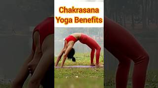 Chakrasana Yoga benefits  Chakrasana yoga Step by step  How to do Chakrasana  shorts [upl. by Asilram]