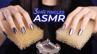 ASMR for People Who Don’t Get Tingles 3hr  Everyday Items Mildly Fast amp Intense No Talking [upl. by Ellirehs]