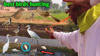 Best birds hunting with Slingshot [upl. by Nois]