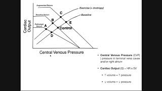 Cardiac amp Vascular Function Curves EXPLAINED [upl. by Joseph]