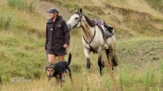 Mustering Papanui Station [upl. by Gladstone585]