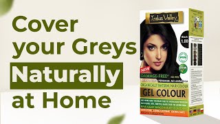 Natural Hair Colour at Home to Control Premature Greys amp White Hairs [upl. by Armahs]