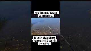 HOW TO A CATCH BASS IN 20 SECONDS 👀🎣 bassangler basslure bassmaster bassfishing fishing bass [upl. by Donetta]