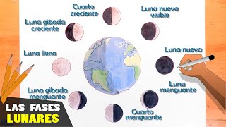 Cómo dibujar las fases lunares paso a paso [upl. by Aleak]