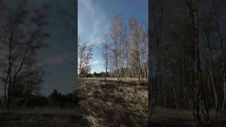 Cinematic FPV Drone  flying in the forest drone fpv fpvdrone [upl. by Leile476]