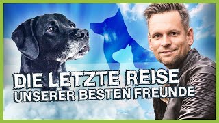 Die letzte Reise unserer besten Freunde – Interview mit einem Tierkrematorium [upl. by Hampton]