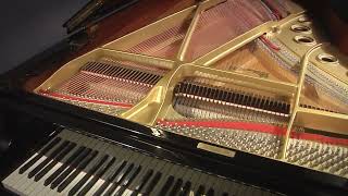 Yamaha C5 67quot Grand Piano 4500753 [upl. by Hayimas685]