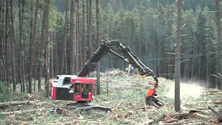 SHOVEL LOGGING TO THE YARDER AUSTRALIA [upl. by Prudi856]