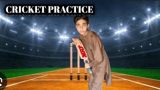 Home cricket Practice kal ka vlog lazmi dak na 😊 [upl. by Ynnus]