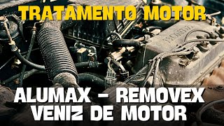 😱TRATAMENTO DO MOTOR COM ALUMAX REMOVEX E VENIZ DE MOTOR VONIXX [upl. by Agostino686]