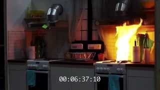 Innohome Cooker Fire Test [upl. by Attaynek]