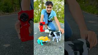 Rc Remote Control Cow 🐄 And Frog testing 😜 [upl. by Yliab]