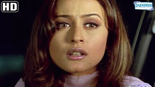 Namrata Shirodkar Scenes From Dil Vil Pyar Vyar  R Madhavan  Jimmy Shergill  Hit Hindi Movie [upl. by Nedyrb]