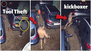 Instant karma  UK  CCTV Attempted Tool Theft amp Caught  Birmingham 🇬🇧 ​⁠​⁠TheUKMediaWatch [upl. by Adnarrim]