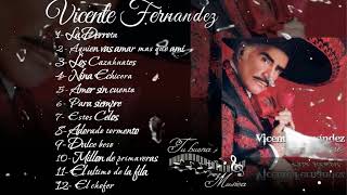 VICENTE FERNÁNDEZ MIX ROMANTICAS VIEJITAS PARA ADOLORIDOS  20 Vicente Fernandez Exitos Mix [upl. by Ainessej50]