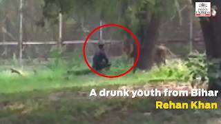 WATCH  Mentally disturbed man falls into lions enclosure at Delhi Zoo [upl. by Tull]