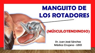 🥇 Anatomía del MANGUITO ROTADOR Fácil y Rápida [upl. by Traweek40]