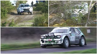 SAAREMAA RALLY 2024 [upl. by Lias]