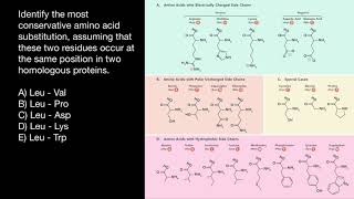 Amino Acid Substitution Rules [upl. by Shulins]