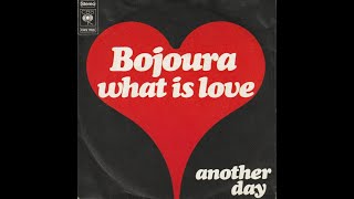 Bojoura  What is love Nederbeat  pop  Den Haag 1973 [upl. by Inaleon]