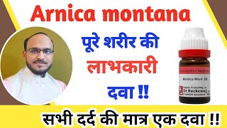 Arnica montana 200 200ch  Arnica montana  arnica montana 30 30c 30ch homeopathic uses amp dosages [upl. by Geno426]