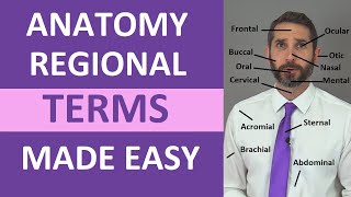 Regional Terms Anatomy  Body Parts Name  Nursing Medical Terminology Made Easy [upl. by Aramaj]