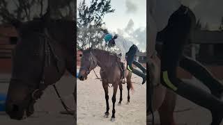 Dismounting Sparky racehorse horseriding racehorse mauritius [upl. by Omura907]