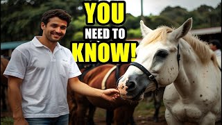 Everything You Need to Know Before Buying a Horse [upl. by Ykcaj226]