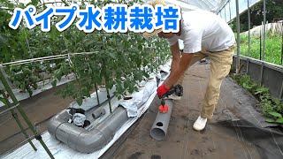 【水耕栽培】パイプ水耕のすすめ ミニトマト  pipe Hydroponics [upl. by Bobette]