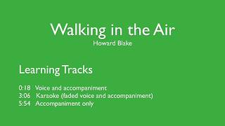 ‘Walking in the Air’ by Howard Blake from The Snowman Learning tracks [upl. by Yemane275]