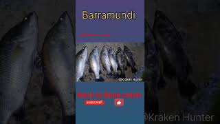 Barramundi fishing lurefishing barramundi lucana penn mumbaifishing krakenHunter [upl. by Ydnew]