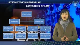 INTRODUCTION TO BUSINESS LAW [upl. by Westfall615]