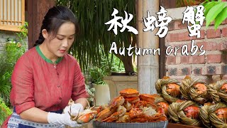 Frost brings rich crab roe—perfect time to enjoy a pot of spicy crabs for a satisfying feast [upl. by Jonie]