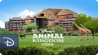 Disney’s Animal Kingdom Lodge  Walt Disney World [upl. by Aileen]