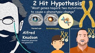 Two hit hypothesis  Retinoblastoma [upl. by Nonrev]