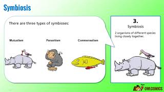 Science Cartoon Symbiosis Predation and Competition [upl. by Alleynad247]