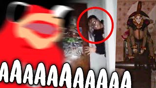 LA RATA REACCIONA A VIDEOS DE TERROR 2  LLORA [upl. by Adnohsak]