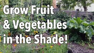 Grow Fruit and Vegetablesin the Shade [upl. by Thorrlow]