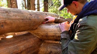 How I Make a Saddle Notch Ep42 Outsider Log Cabin [upl. by Loar]