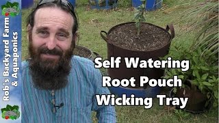 Self Watering Root Pouch Wicking Tray [upl. by Rydder773]