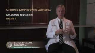 Staging of Chronic Lymphocytic Leukemia [upl. by Lotti]