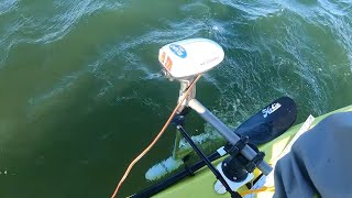 Watersnake trolling motor amp draw tests  side mounted on kayak [upl. by Elocyn]