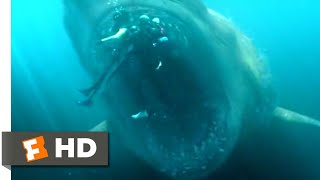 The Meg 2018  Shark Cage vs Megalodon Scene 510  Movieclips [upl. by Lainahtan]