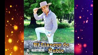 EL LLANERO DE ÑUBLE MIX 2021 🔥 DJ MARTINEXX 🔥 [upl. by Ottinger]