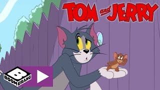 Tom amp Jerry Show I Parfüm  Cartoonito Türkiye [upl. by Vasquez887]