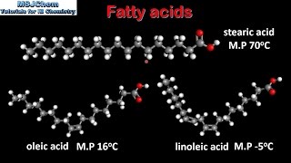 B3 Fatty acids SL [upl. by Elimac158]