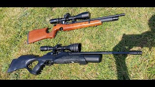 Walther Rotex RM8 vs Air Arms s200  which rifle is better [upl. by Sirahc]