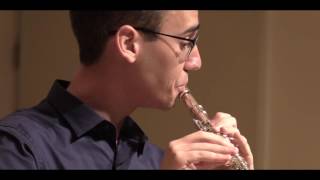 F Schubert  Ständchen Serenade for Flute and Piano HD [upl. by Eiramanig]