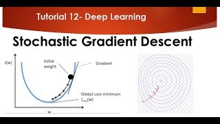 Tutorial 12 Stochastic Gradient Descent vs Gradient Descent [upl. by Ardnassak935]