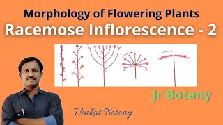 Racemose Inflorescence  2  Morphology of Flowering Plants  Jr Botany [upl. by Barram]